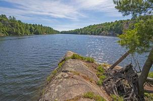 kenmerkend schiereiland vooruitstekend in een noorden bossen meer foto