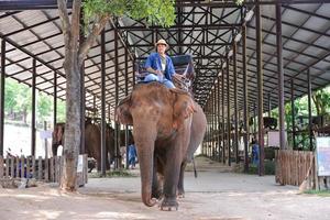 lampang, Thailand, april 23 2015, mahout is rijden olifant Bij Thais olifant behoud centrum . lampang, Thailand. foto