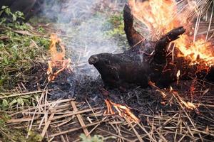 brandend de haar- uit en roosteren foto