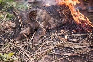 brandend de haar- uit en roosteren foto