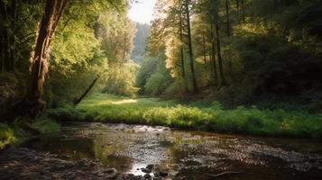 een vredig Woud opruimen badend in warm zonlicht, omringd door hoog bomen en weelderig gebladerte, met een teder stroom druppelen door de kreupelhout en een ver weg berg reeks zichtbaar foto