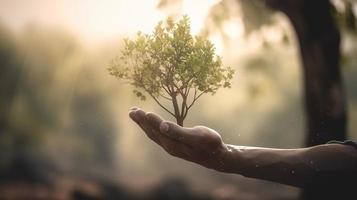 artistiek handen omhelzing van de natuur schoonheid Holding boom over- wazig achtergrond foto