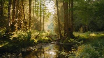 een vredig Woud opruimen badend in warm zonlicht, omringd door hoog bomen en weelderig gebladerte, met een teder stroom druppelen door de kreupelhout en een ver weg berg reeks zichtbaar foto