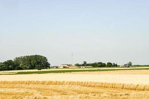 toneel- landelijk landschap foto