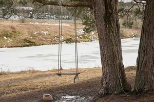 houten schommel op een boomtak in het voorjaar met een ijskoude rivier op de achtergrond foto