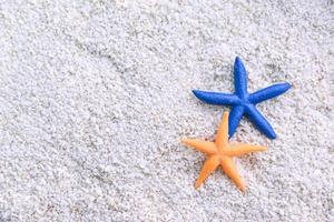 zeester in de strand zand foto