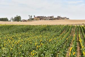 toneel- landelijk landschap foto