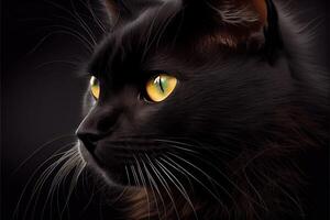 zwart kat waardering dag augustus 17e ai gegenereerd foto