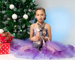 Kaukasisch meisje 9 jaren oud in Purper jurk Holding speels sphynx kat zittend in de buurt Kerstmis boom foto