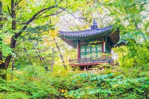 gebouwen in changdeokgung-paleis in de stad van seoel, zuid-korea foto