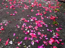 een bloemen besprenkeld Aan graven foto