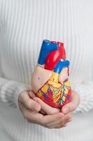 vrouw Holding menselijk hart model. cardiovasculair ziekten, aderverkalking, hypertensief hart, valvulaire hart, aortopulmonaal venster, wereld hart dag en Gezondheid concept foto