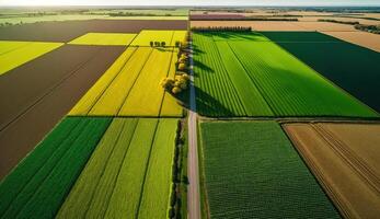 generatief ai, boerderij landschap, agrarisch velden, mooi platteland, land weg. natuur illustratie, fotorealistisch top visie drone, horizontaal spandoek. foto