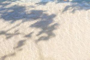 schaduw van boombladeren op het tropische strand in de zomer foto