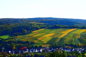 herfst wijngaarden bovenstaand slecht nieuwenah ahrweiler foto