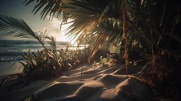 tropisch strand met palm bomen en zand duinen Bij zonsondergang, blauw zee foto