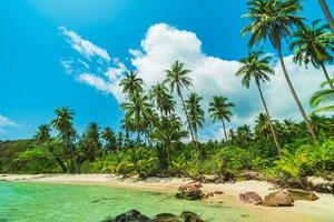 prachtig paradijselijk eiland met zee- en strandlandschap foto