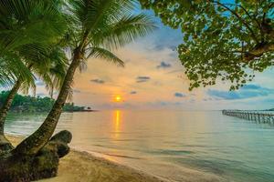 prachtig paradijselijk eiland met strand en zee rondom kokospalm foto