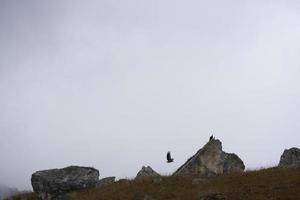 berg landschap rots stenen wolken in de lucht gras foto