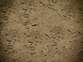 patch van rotsachtige grond of zand voor achtergrond of textuur