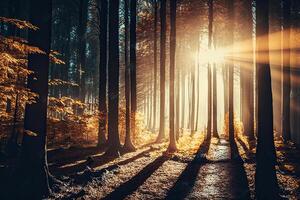 herfst Woud natuur. een helder ochtend- in een kleurrijk. illustratie ai generatief foto