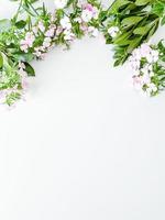 dianthus japonica en laurier bladeren. bloemen kader foto