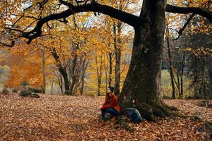 gelukkig reiziger in park in de buurt groot boom landschap natuur geel bladeren model- emoties foto