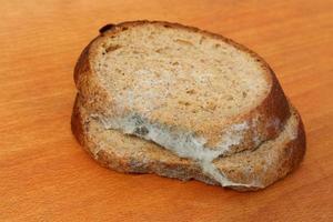 de oud zwart gietvorm Aan de brood. verwend voedsel. gietvorm Aan voedsel. foto