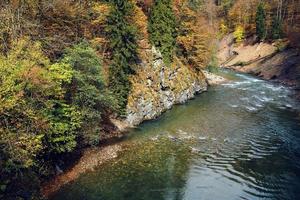 herfst Woud bergen natuur rivier- reizen landschap foto