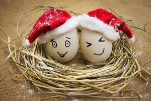 gelukkig eieren Bij kerstmis. foto