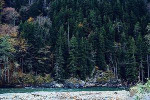 herfst Woud bomen bergen rivier- landschap natuur foto