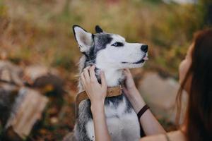 vrouw en haar schor hond gelukkig spelen buitenshuis in de park tussen de bomen glimlach met tanden in de herfst wandelen met haar huisdier foto