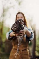 een gelukkig jong vrouw glimlacht net zo ze looks in de camera en houdt een jong kip dat legt eieren voor haar boerderij in de zonlicht. de concept van zorgzaam en gezond gevogelte foto