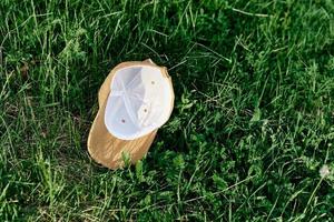 de sport- pet leugens Aan de vers groen gras foto