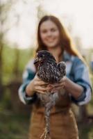 een gelukkig jong vrouw glimlacht net zo ze looks in de camera en houdt een jong kip dat legt eieren voor haar boerderij in de zonlicht. de concept van zorgzaam en gezond gevogelte foto