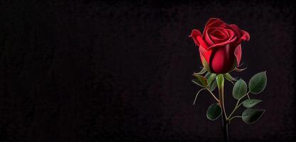 een rood roos nog steeds in knop zwart achtergrond ai gegenereerd foto