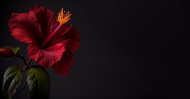 donker petunia bloem in zwart achtergrond ai gegenereerd foto