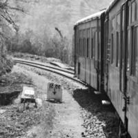 shimla, himachal pradesh, Indië - maart 14, 2023 - speelgoed- trein kalka-shimla route, in beweging Aan spoorweg naar de heuvel, speelgoed- trein van kalka naar shimla in Indië tussen groen natuurlijk Woud foto