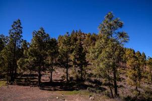 schilderachtige berglandschap foto