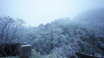 de mooi bevroren bergen visie bedekken door de wit sneeuw en ijs in winter foto