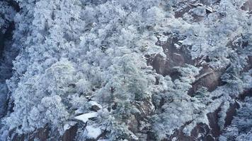 de mooi bevroren bergen visie bedekken door de wit sneeuw en ijs in winter foto