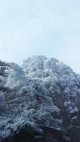 de mooi bevroren bergen visie bedekken door de wit sneeuw en ijs in winter foto