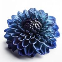 blauw dahlia bloem Aan wit achtergrond, gemaakt met generatief ai foto