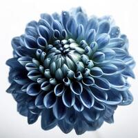 blauw dahlia bloem Aan wit achtergrond, gemaakt met generatief ai foto