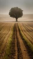 illustratie kunst van landschap, boom Aan weide Bij zonsopkomst met zon en mist.abstract surrealistische illustratie. generatief ai. foto