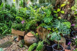 aanplant boom versieren in tuin foto