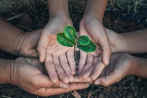 hand- bescherming boom in tuin concept opslaan aarde foto