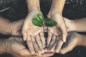 hand- bescherming boom in tuin concept opslaan aarde foto