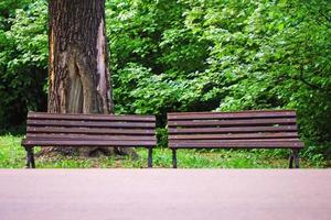 twee houten banken in groen zomer park foto