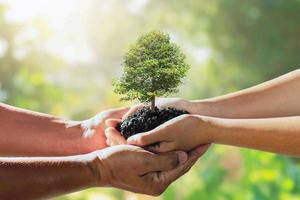 kinderen hand- vooruit de boom naar de vader voor planten. concept opslaan wereld foto